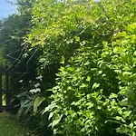 La Casa De La Carpinteria *