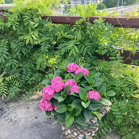 La Casa De La Carpinteria *