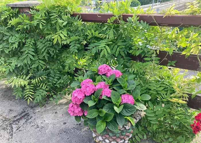 La Casa De La Carpinteria *